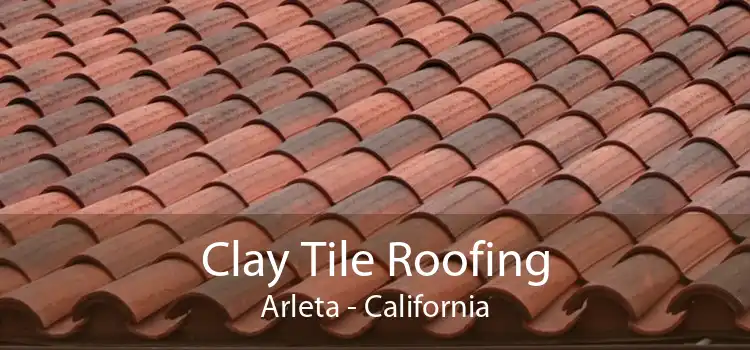 Clay Tile Roofing Arleta - California