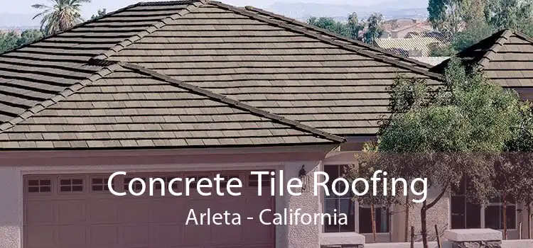 Concrete Tile Roofing Arleta - California