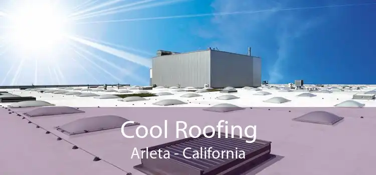 Cool Roofing Arleta - California