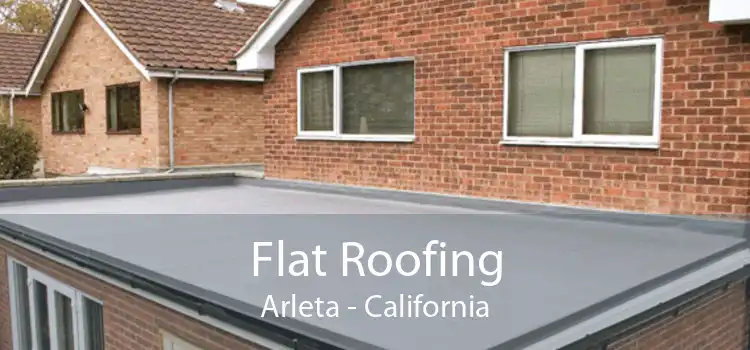 Flat Roofing Arleta - California