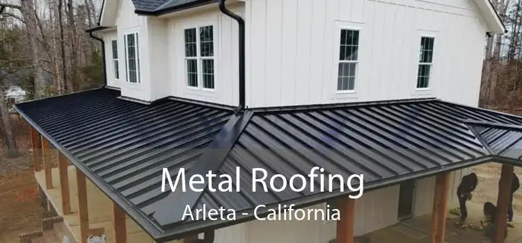 Metal Roofing Arleta - California