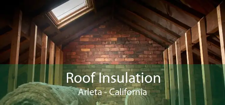 Roof Insulation Arleta - California