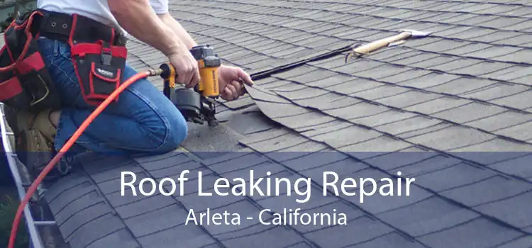 Roof Leaking Repair Arleta - California