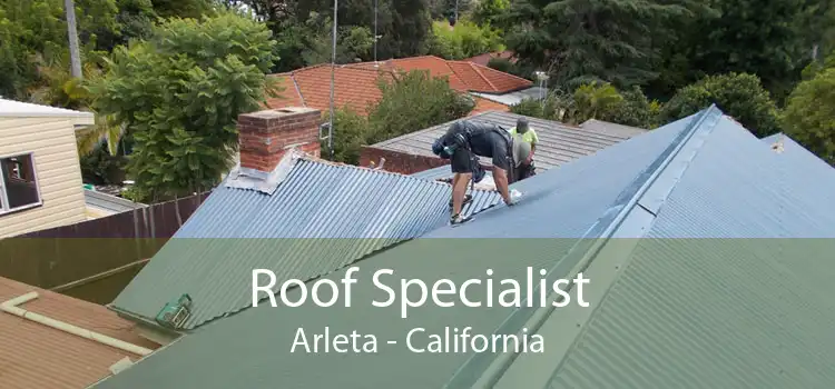 Roof Specialist Arleta - California