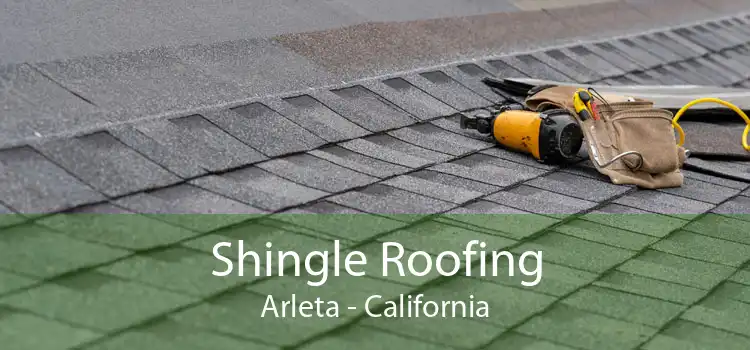 Shingle Roofing Arleta - California