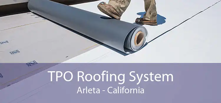 TPO Roofing System Arleta - California