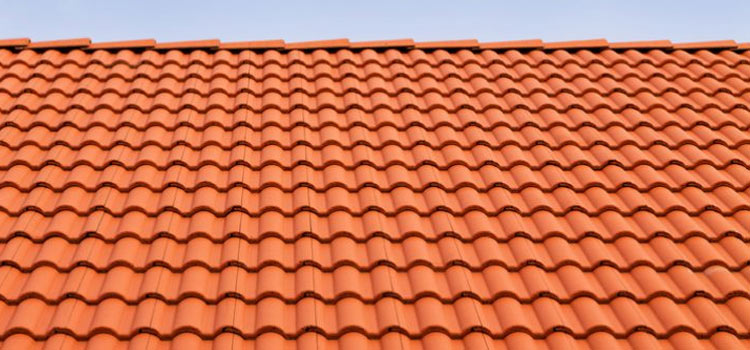 Concrete Clay Tile Roof Arleta